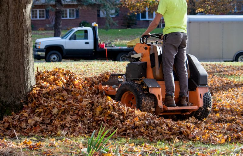 Leaf Raking
