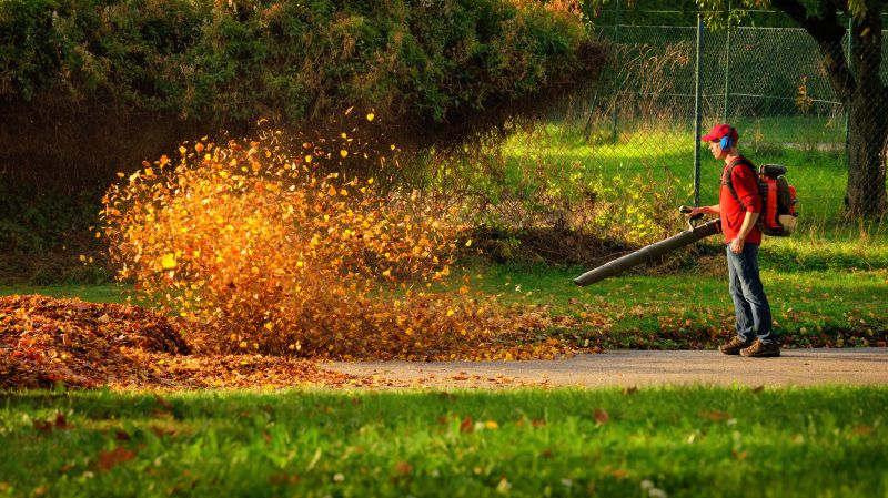 Leaf Blower Usage