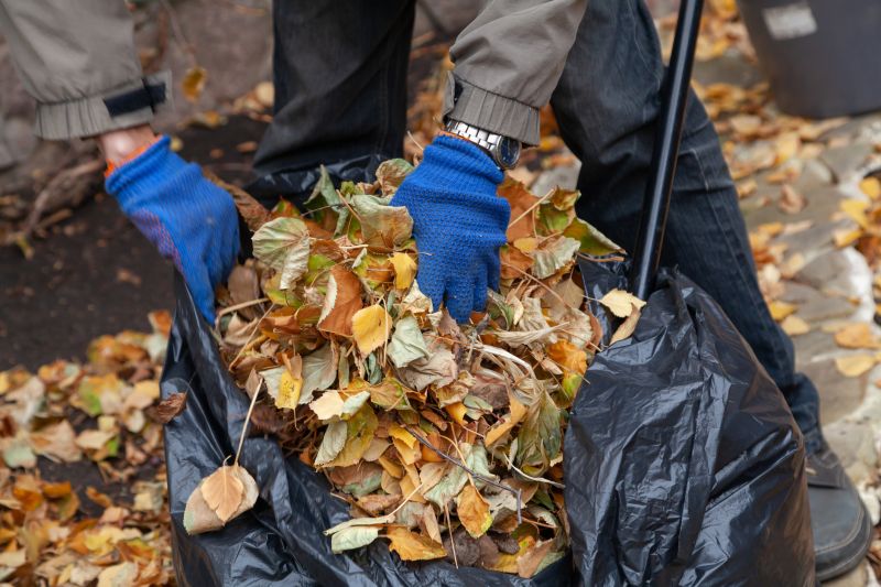 Autumn Leaf Pile Collection