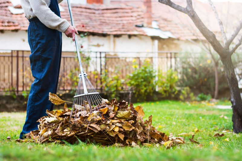 Products For Leaf Rakings in use